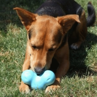 Dog Toy Filling Paste Puppy Stuffing Treats Keep Dogs Busy